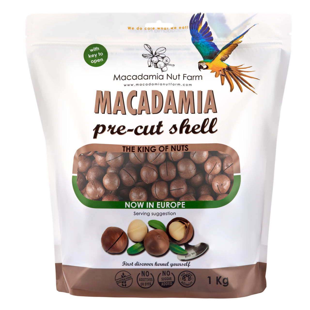 Macadamia nuts in shell