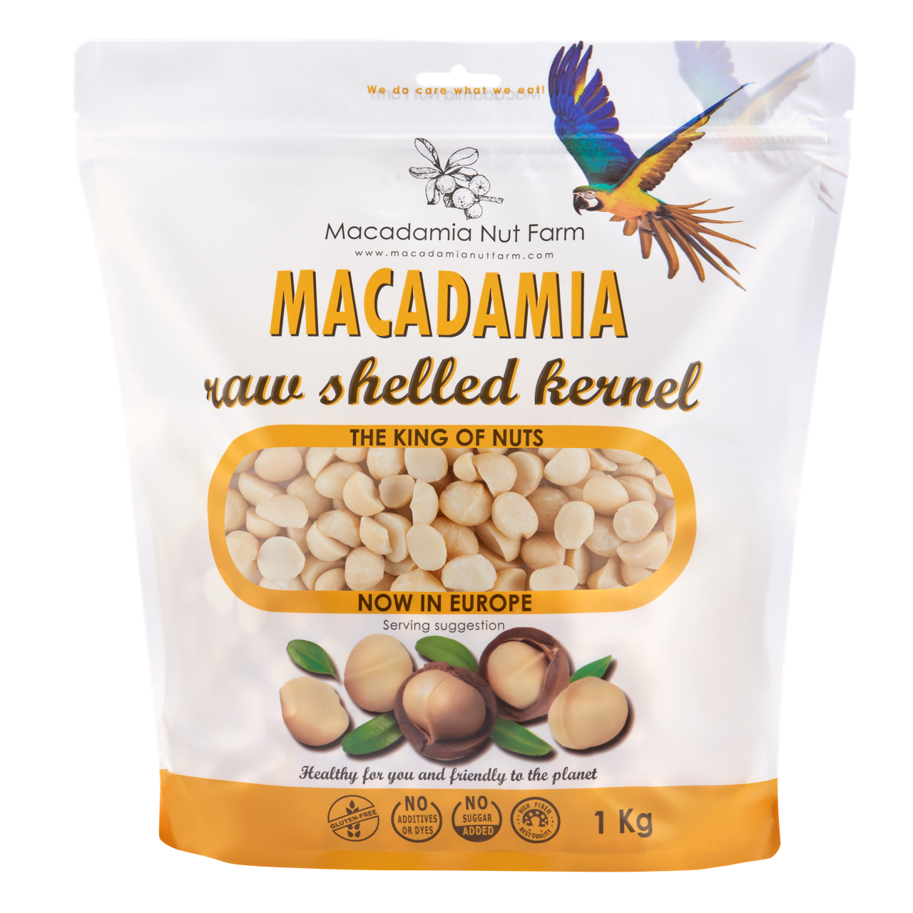 Raw Macadamia nuts