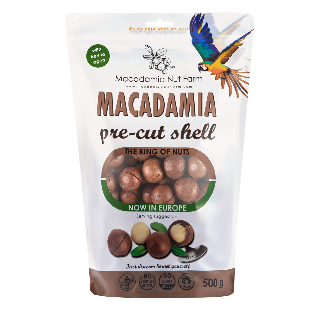 Macadamia nuts in shell