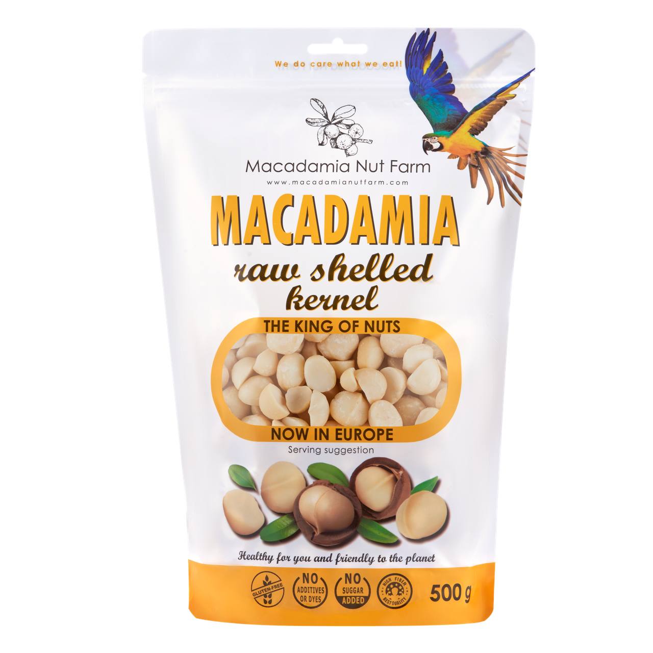 Raw Macadamia nuts